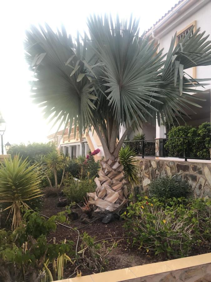 Hipnautic Vibes 1Br Apt W-Poolocean View Near Aqualand, Wifi, Netflix, Free Parking, 2 Pools Access Apartment Costa Adeje  Exterior photo